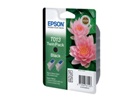  epson () T013