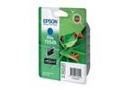  epson T0549