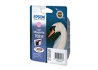  epson T0816