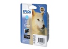  epson T0965